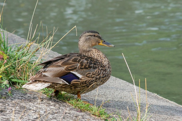Sådan knækker du koden: 8 smarte krydsordstrategier